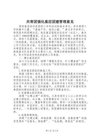 2024年共青团强化基层团建管理意见