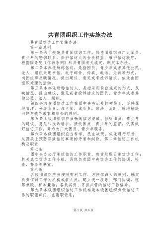 2024年共青团组织工作实施办法