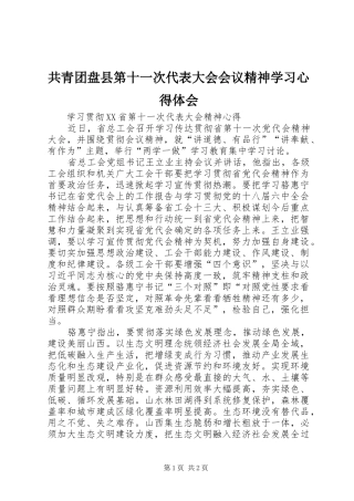 2024年共青团盘县第十一次代表大会会议精神学习心得体会