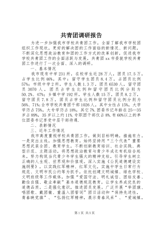 2024年共青团调研报告