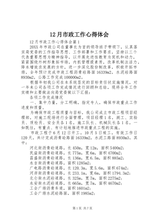 2024年月市政工作心得体会