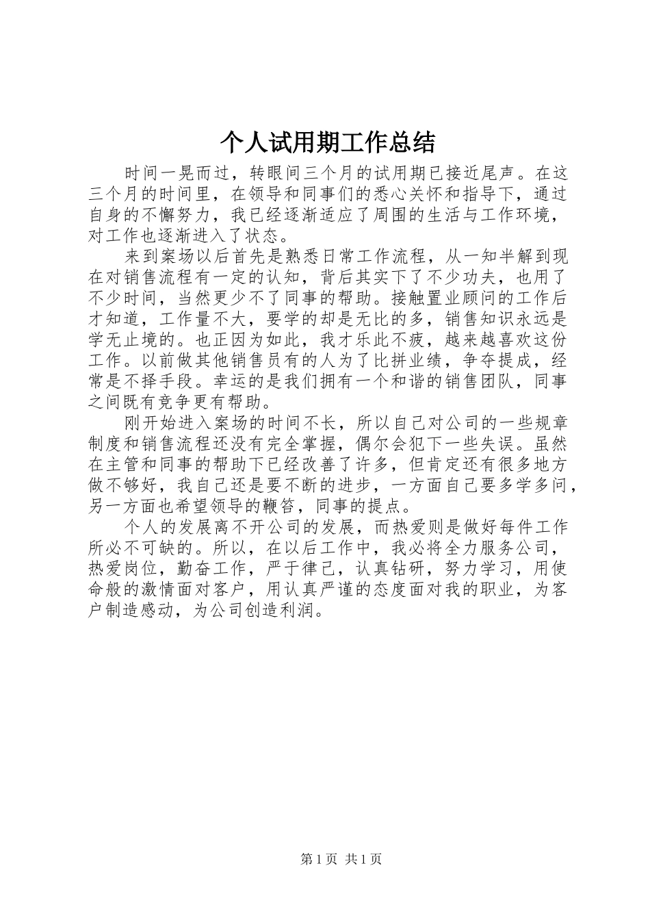 2024年个人试用期工作总结_第1页