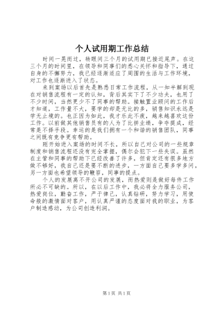 2024年个人试用期工作总结