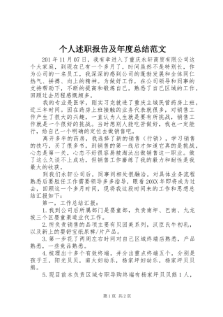 2024年个人述职报告及年度总结范文