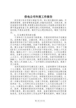 2024年供电公司年度工作报告