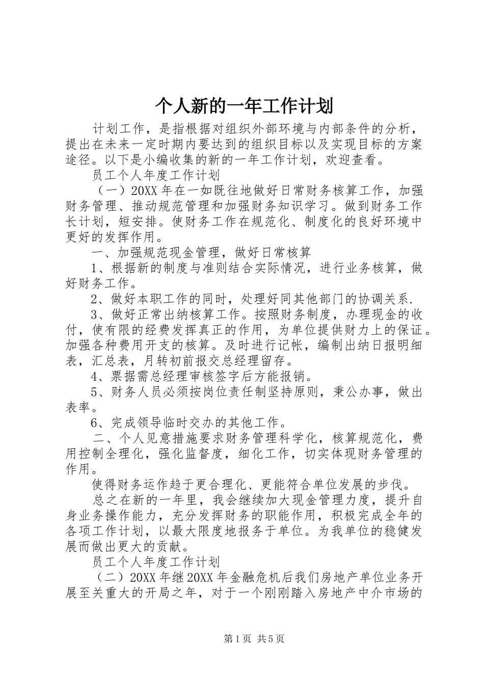 2024年个人新的一年工作计划_第1页