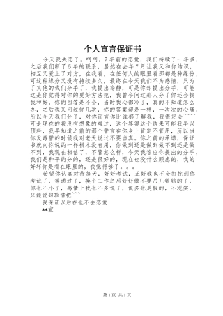 2024年个人宣言保证书