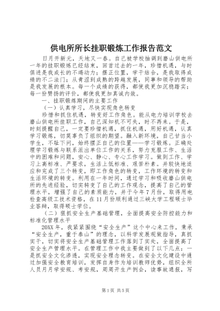 2024年供电所所长挂职锻炼工作报告范文