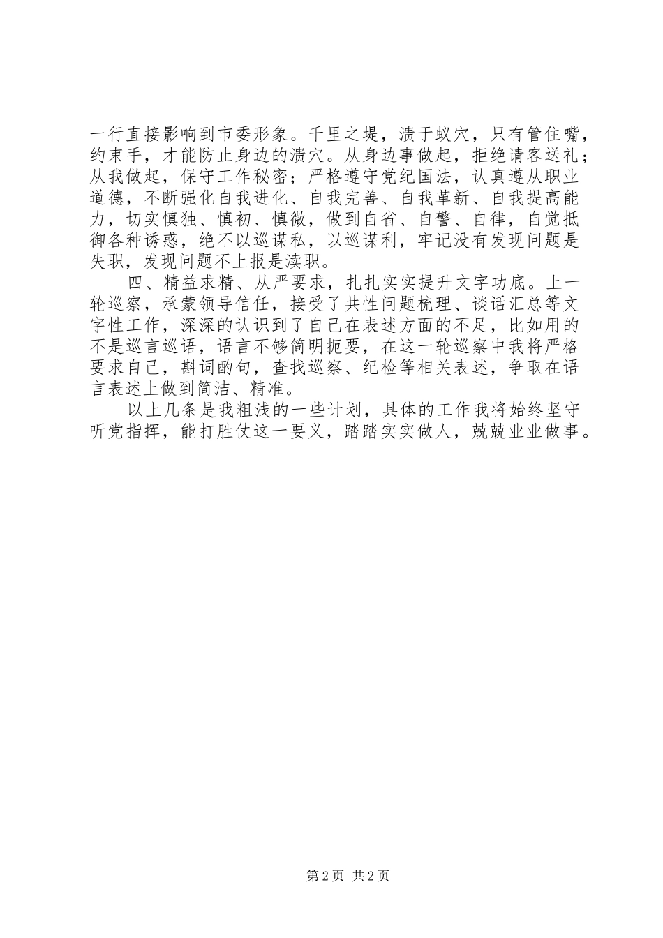 2024年个人巡察工作计划_第2页