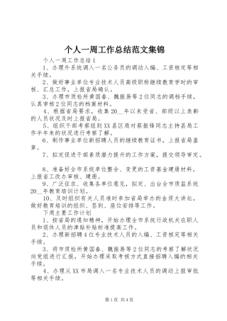 2024年个人一周工作总结范文集锦