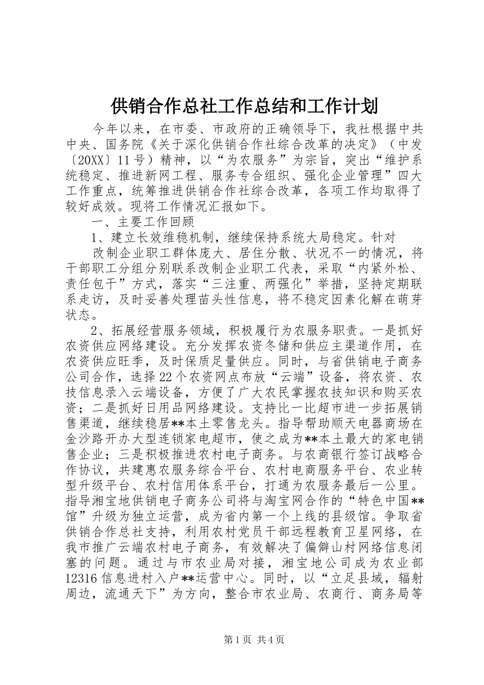 2024年供销合作总社工作总结和工作计划_第1页
