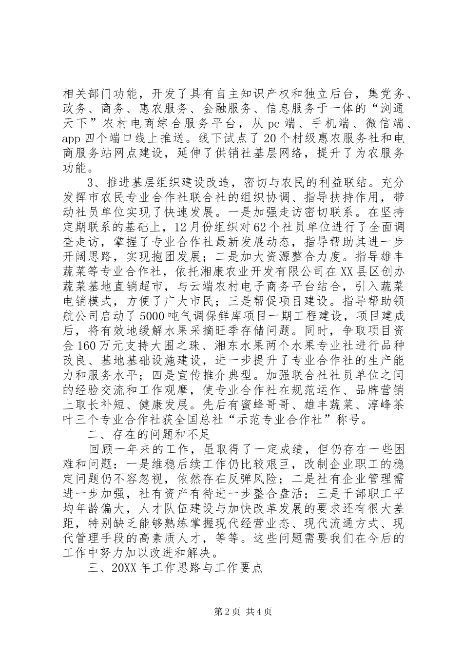 2024年供销合作总社工作总结和工作计划_第2页