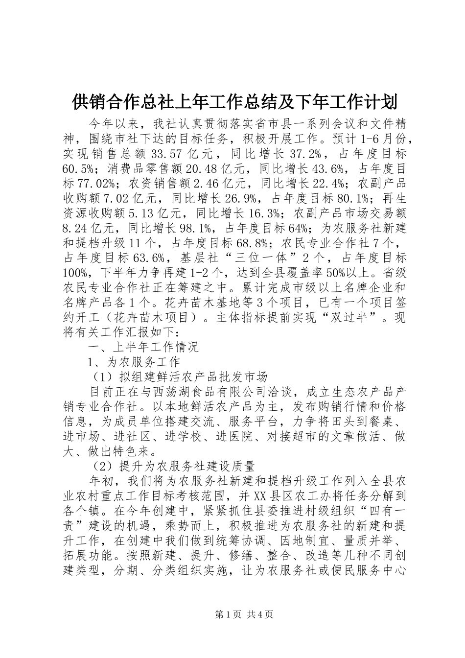 2024年供销合作总社上年工作总结及下年工作计划_第1页