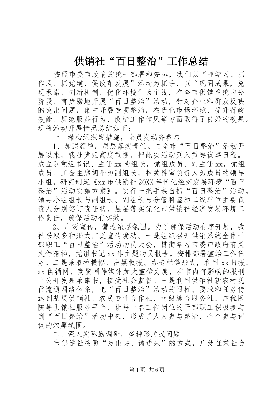 2024年供销社百日整治工作总结_第1页