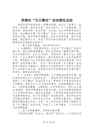2024年供销社百日整治活动情况总结