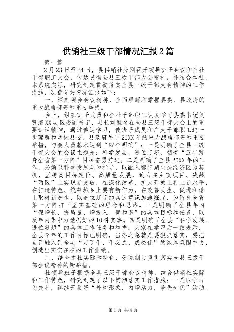 2024年供销社三级干部情况汇报篇_第1页