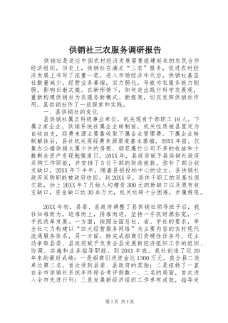 2024年供销社三农服务调研报告