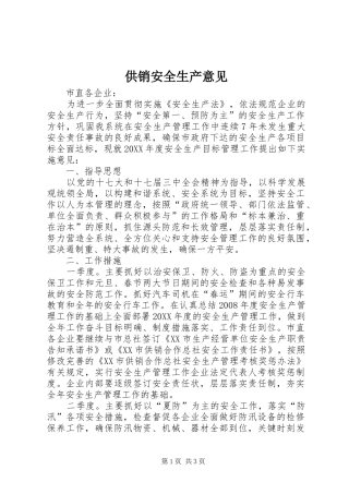 2024年供销安全生产意见