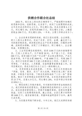 2024年供销合作联合社总结