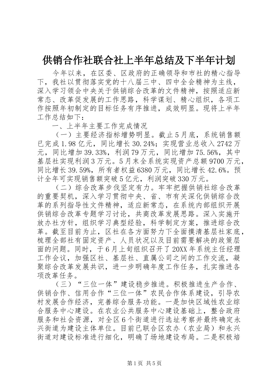 2024年供销合作社联合社上半年总结及下半年计划_第1页