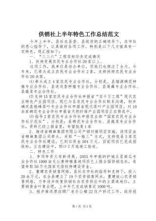 2024年供销社上半年特色工作总结范文