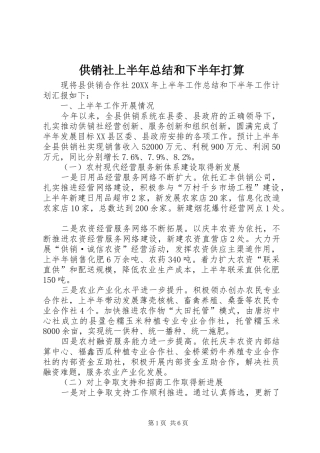 2024年供销社上半年总结和下半年打算