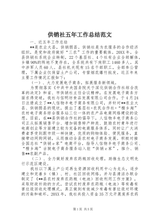 2024年供销社五年工作总结范文