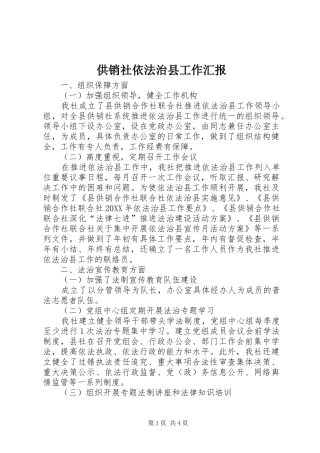 2024年供销社依法治县工作汇报