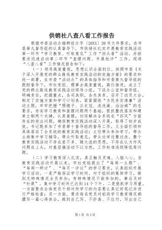 2024年供销社八查八看工作报告