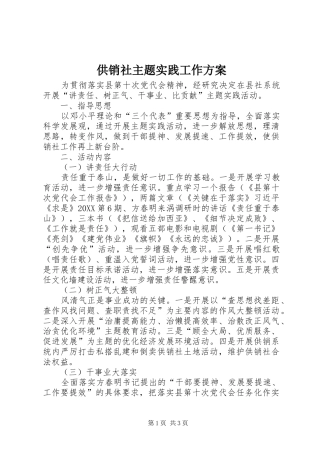 2024年供销社主题实践工作方案