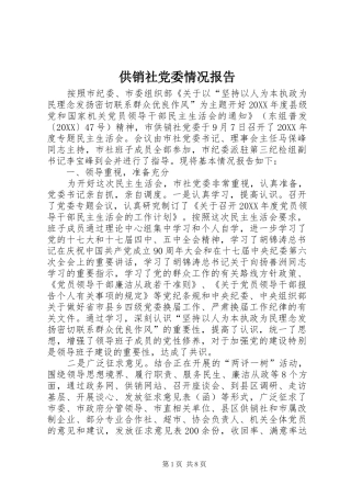 2024年供销社党委情况报告