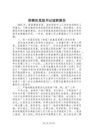 2024年供销社党组书记述职报告