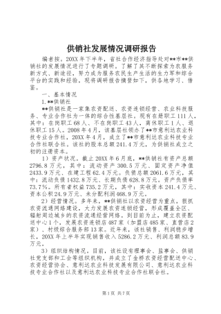 2024年供销社发展情况调研报告