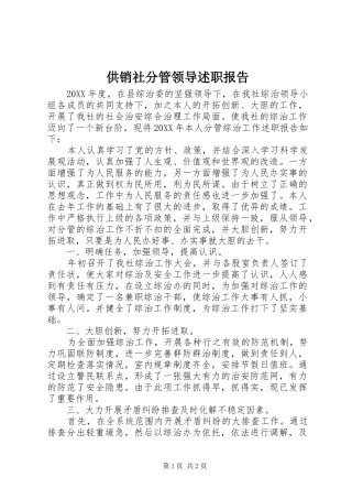 2024年供销社分管领导述职报告