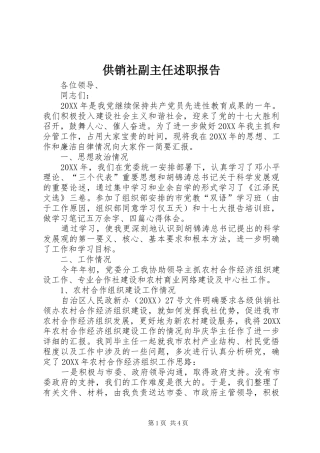 2024年供销社副主任述职报告