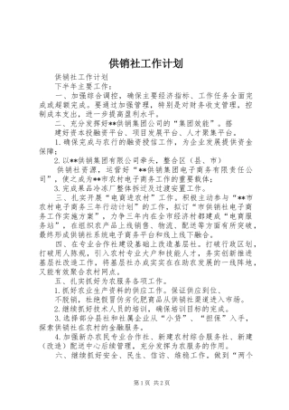 2024年供销社工作计划