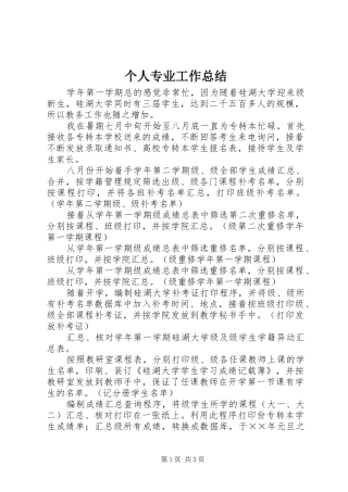 2024年个人专业工作总结