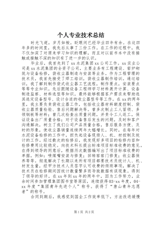 2024年个人专业技术总结