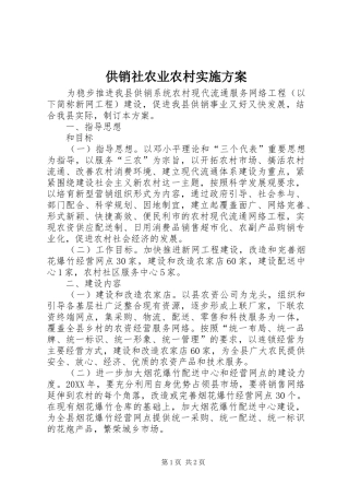 2024年供销社农业农村实施方案