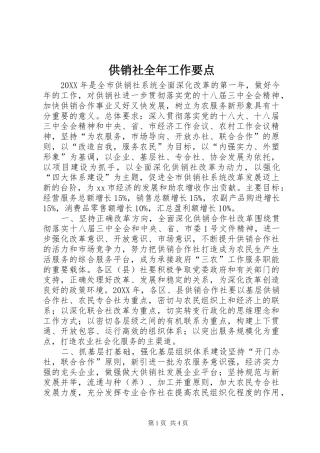 2024年供销社全年工作要点