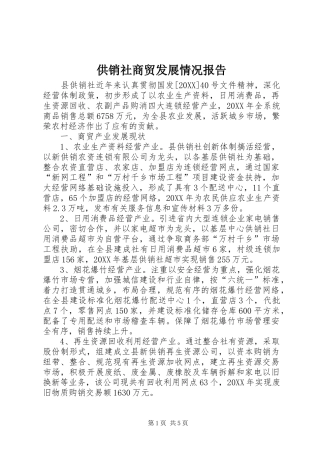 2024年供销社商贸发展情况报告
