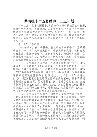 2024年供销社十二五总结和十三五计划