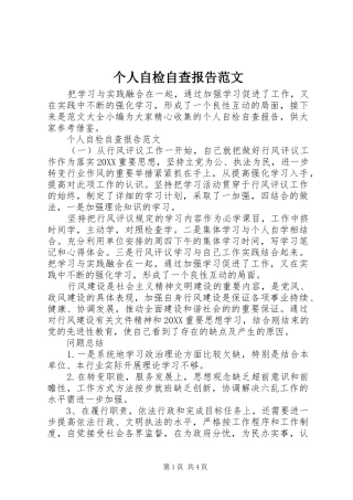 2024年个人自检自查报告范文