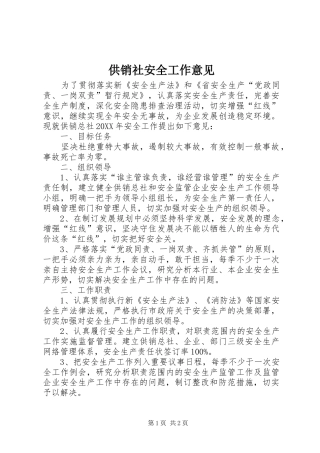 2024年供销社安全工作意见