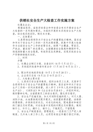 2024年供销社安全生产大检查工作实施方案