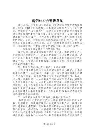 2024年供销社协会建设意见