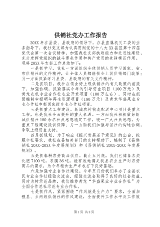 2024年供销社党办工作报告