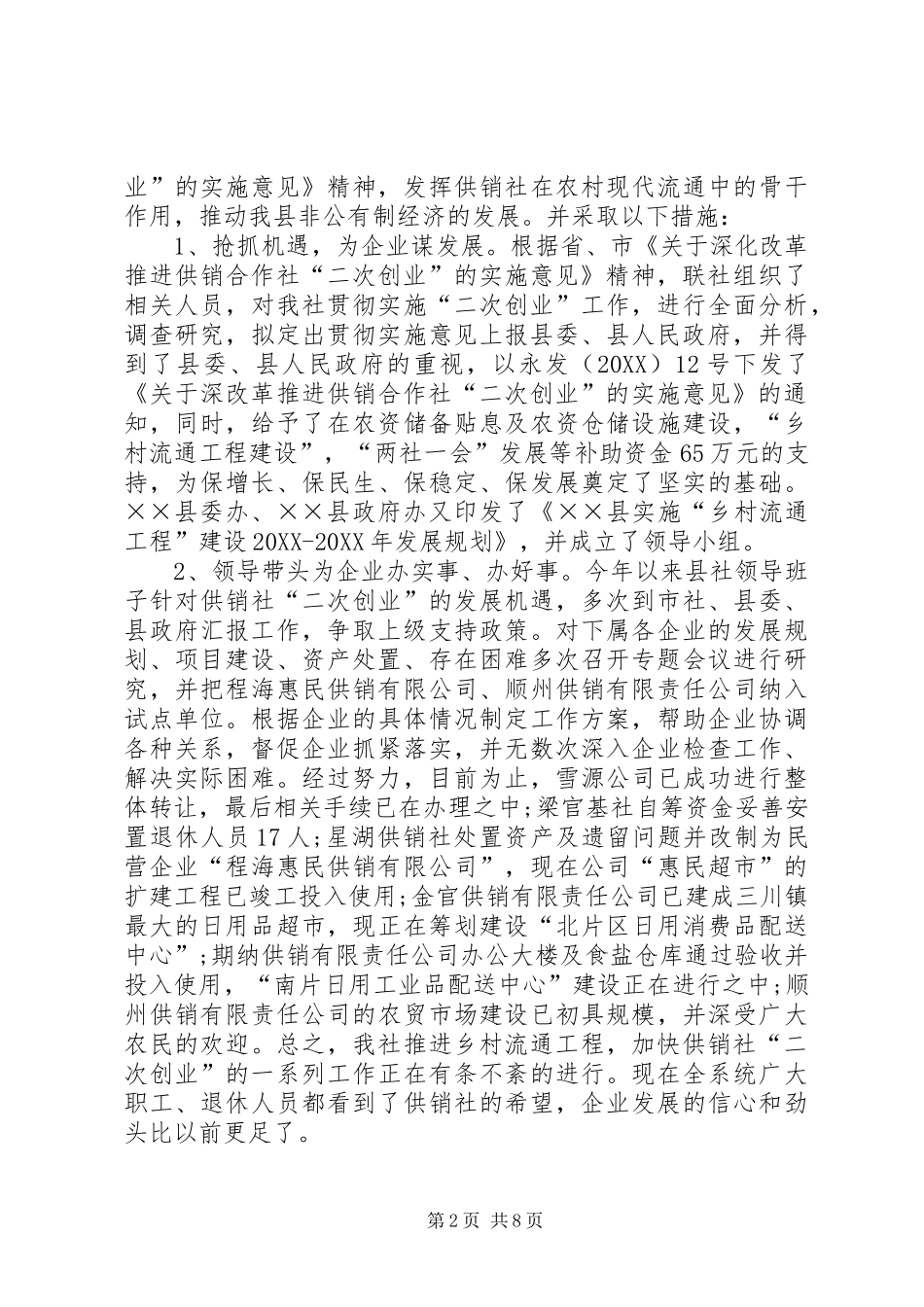 2024年供销社工作总结_第2页