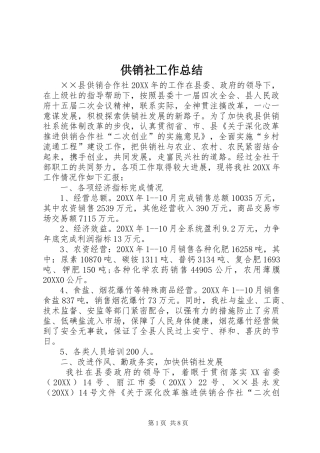 2024年供销社工作总结