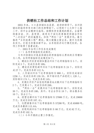 2024年供销社工作总结和工作计划